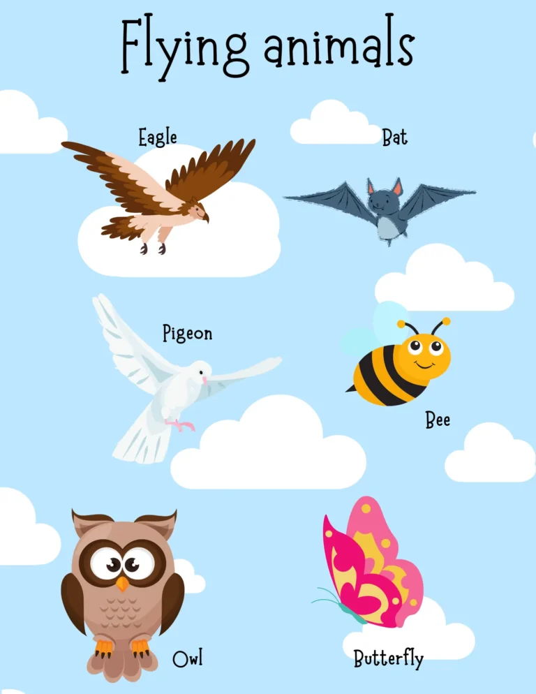 18.webp