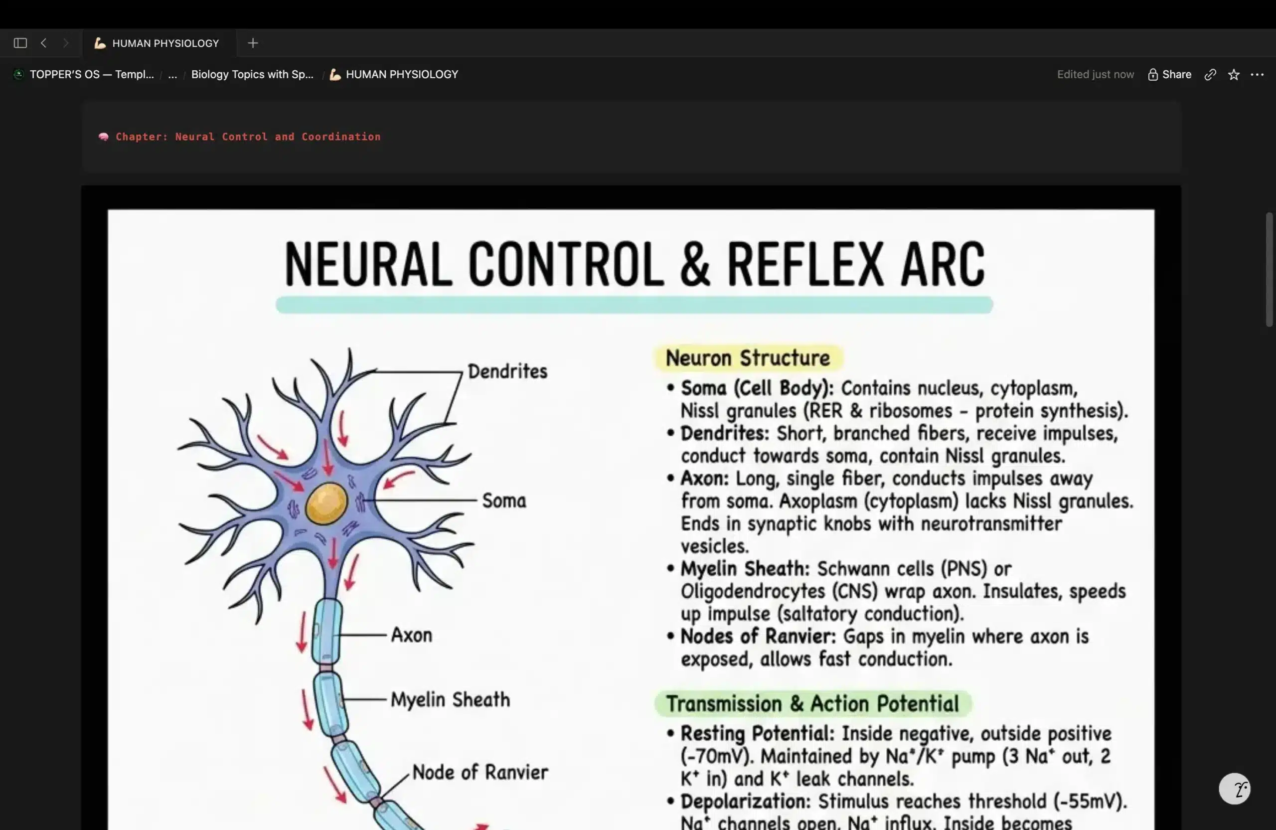 Dedicated Topic Workspace and Note-Taking Hub